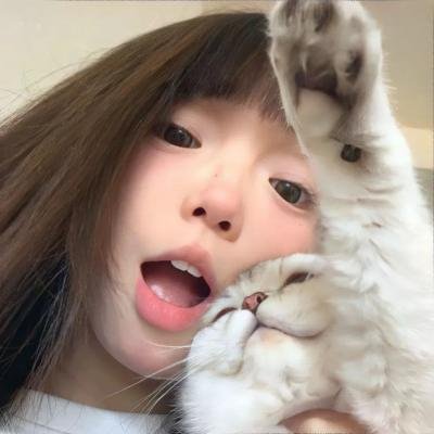 猫贼